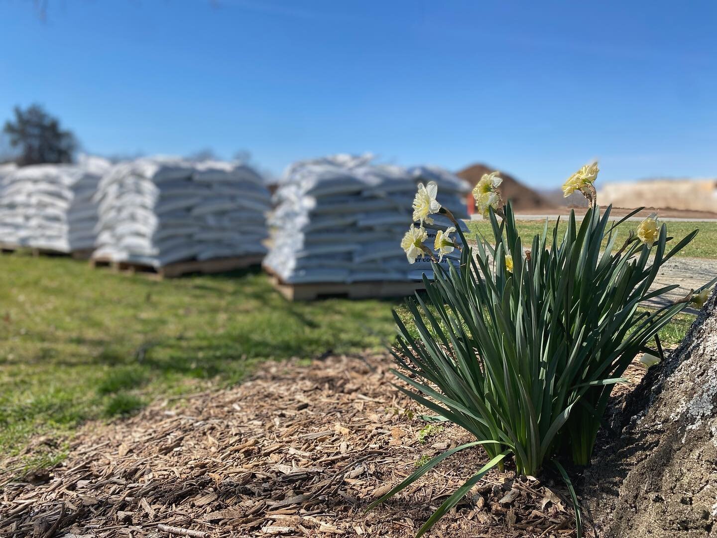 Spring is officially here. Time to #feedyoursoil We have more variety of materials and inventory than ever. Plan a visit to check out our stock and make your garden and lawn dreams a reality.