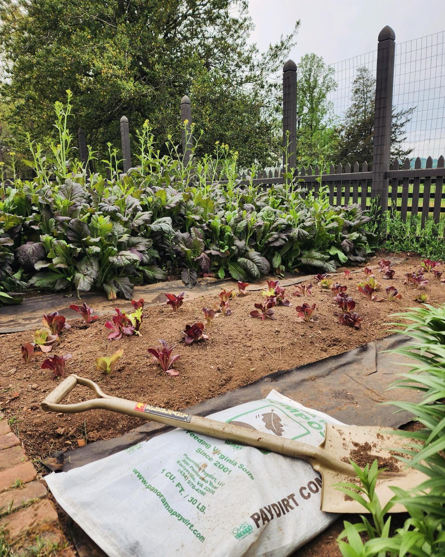 We will have bags of Panorama Paydirt Organic Compost for sale at the Piedmont Master Gardeners Spring Plant Sale TOMORROW at Albemarle Square starting at 10am. Proceeds will benefit the PMG. Hope to see you there! #feedyoursoil #plantsale #compost #