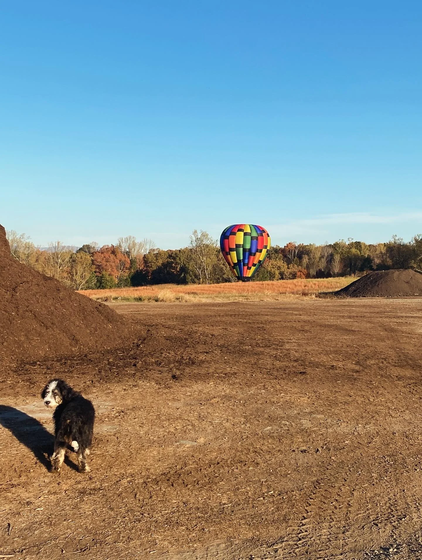 Unfortunately, we can only load open topped trucks and trailers on site! Balloons do not qualify for bulk loading, but we could probably fit some bags in the basket&hellip; #compost #feedyoursoil #hotairballon