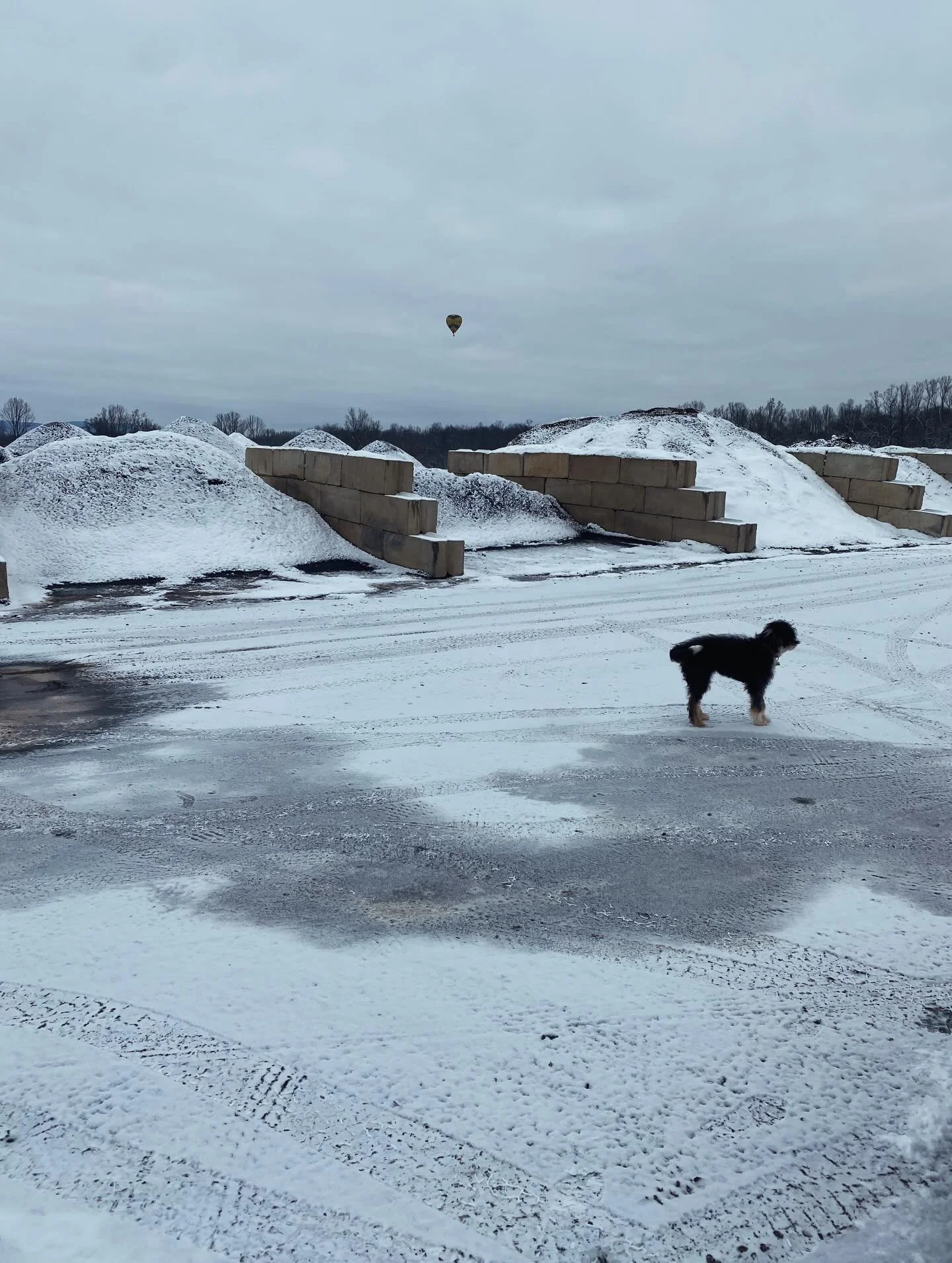 Snowy on site but still a couple visitors! The roads are clear to the site but use caution when entering site. Warming up tomorrow! #winter #compost #feedyoursoil