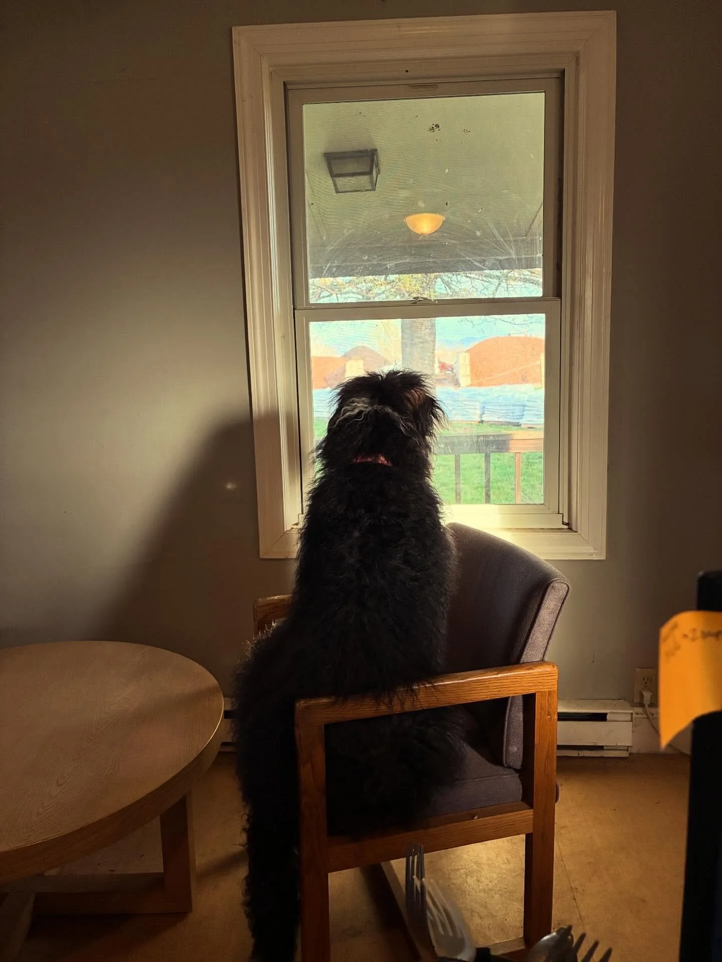 Roxy is waiting for you to show up! Come grab compost or mulch before the weather moves in this weekend. #feedyoursoil #dirtdog