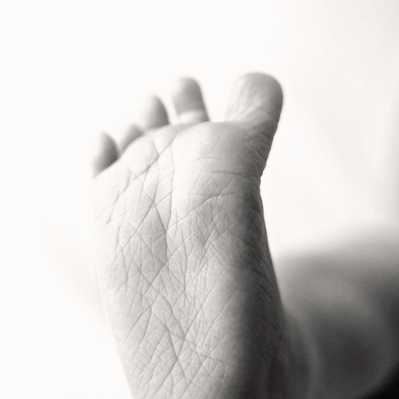 Baby toes, quite possibly the best baby detail!

Newborn sessions show off baby details, family togetherness, baby asleep and awake, posed and natural. There might even be a few solo images of older siblings. Sessions are calm and not rushed, a galle