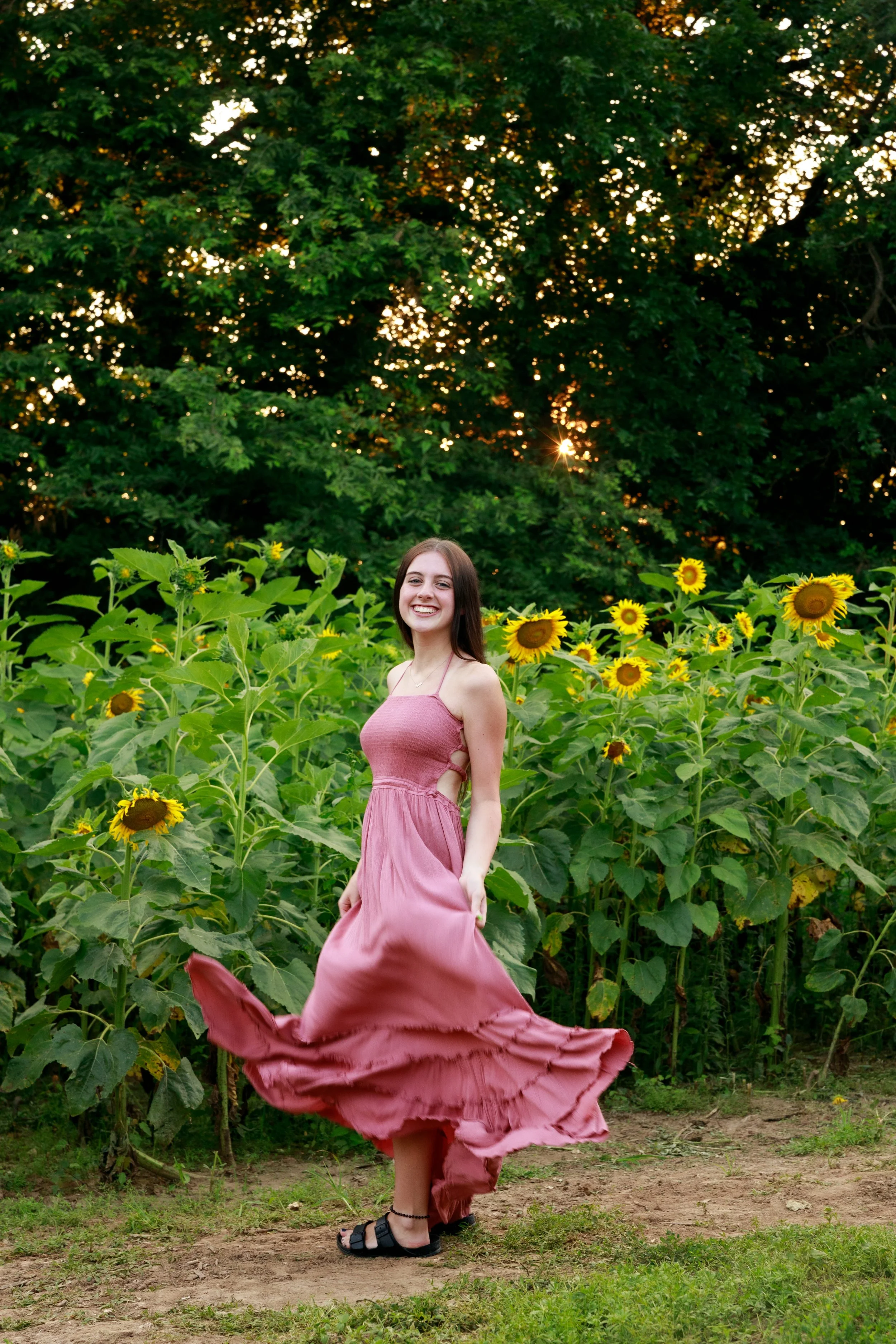 golden hour family photographer st joseph mo