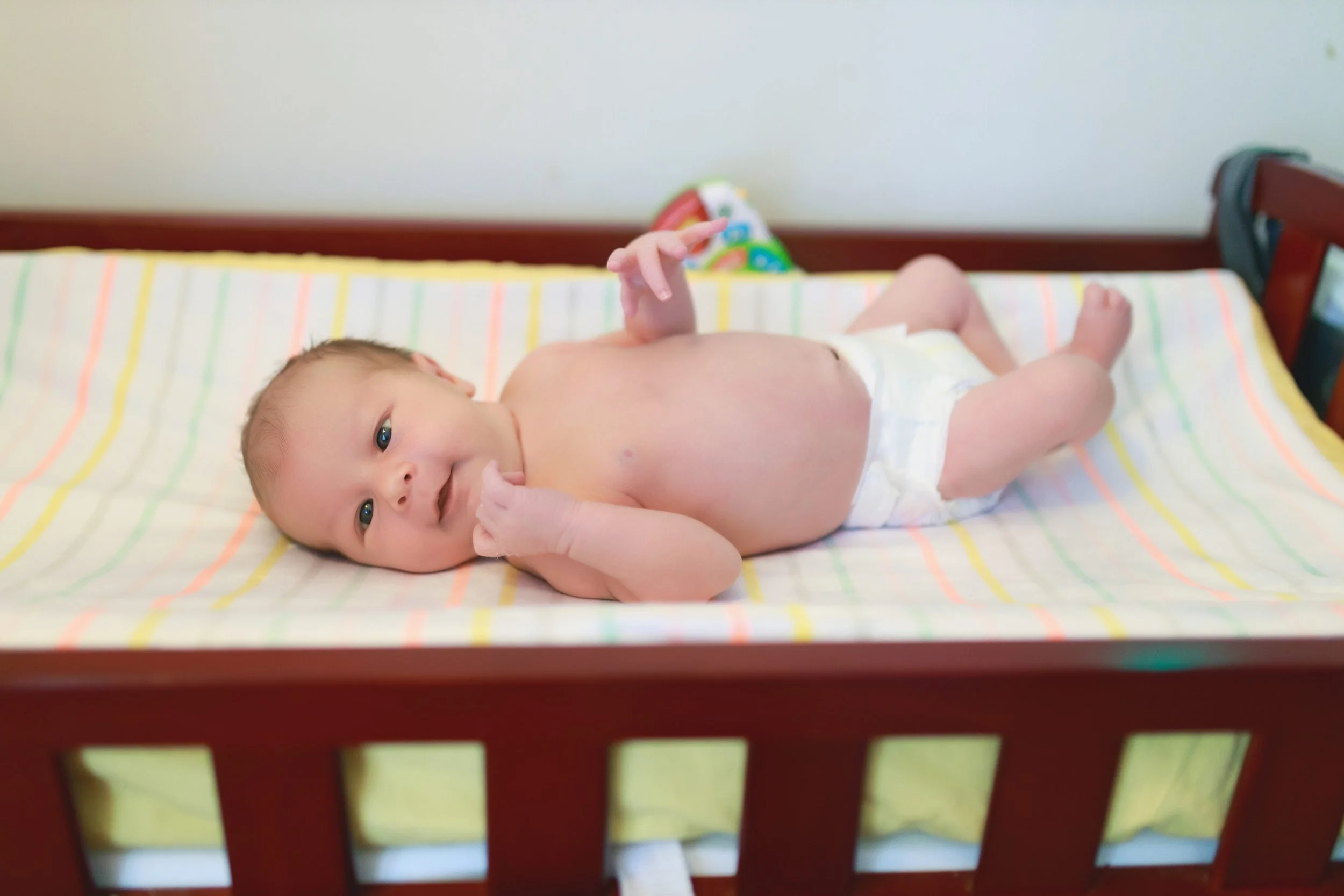 photoalli¬© 0004.jpg