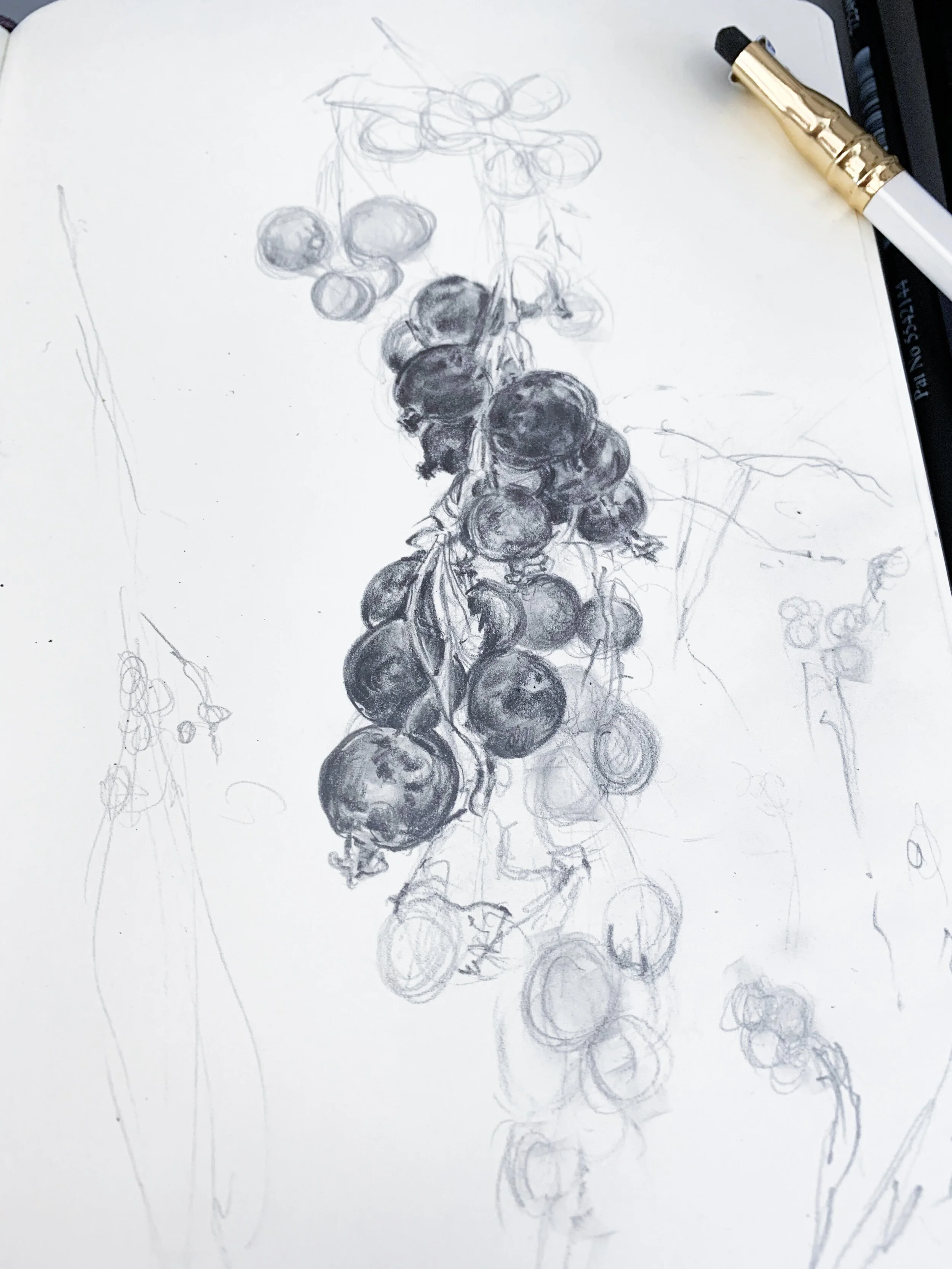 SUMMER BLACKBERRIES