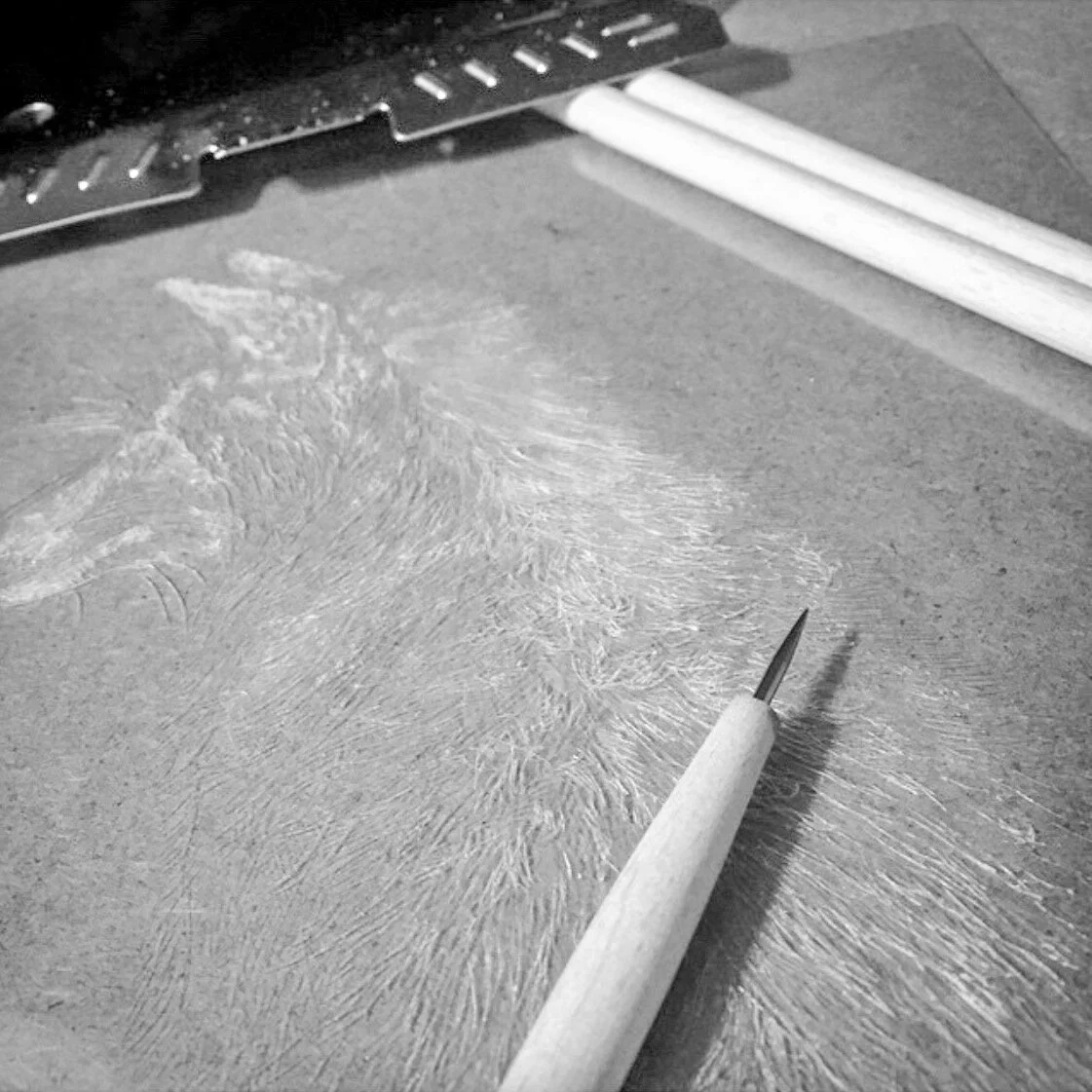 FAUNA DRYPOINTS &amp; MONOPRINTS