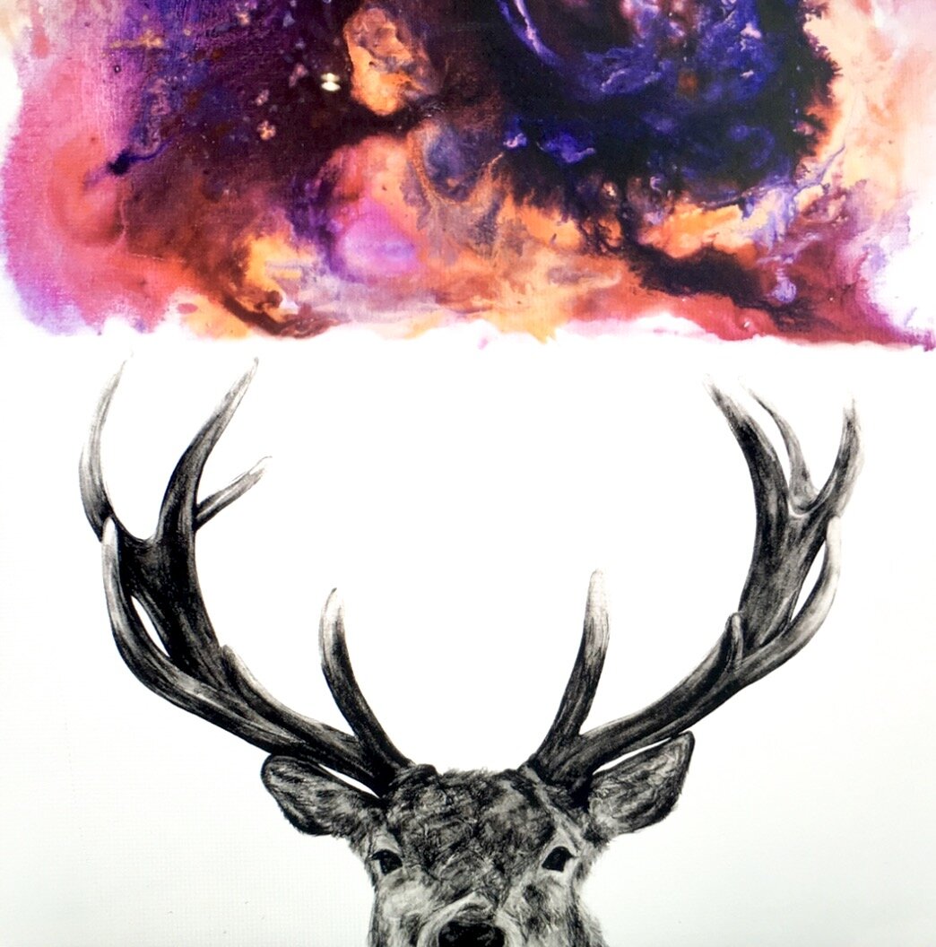EXPLORE Stag.jpg