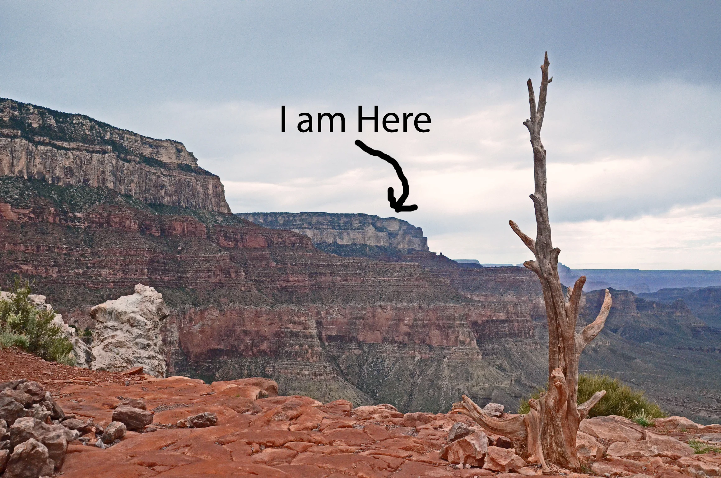 Sitting, Waiting, Watching: Everyone's Friend Depression