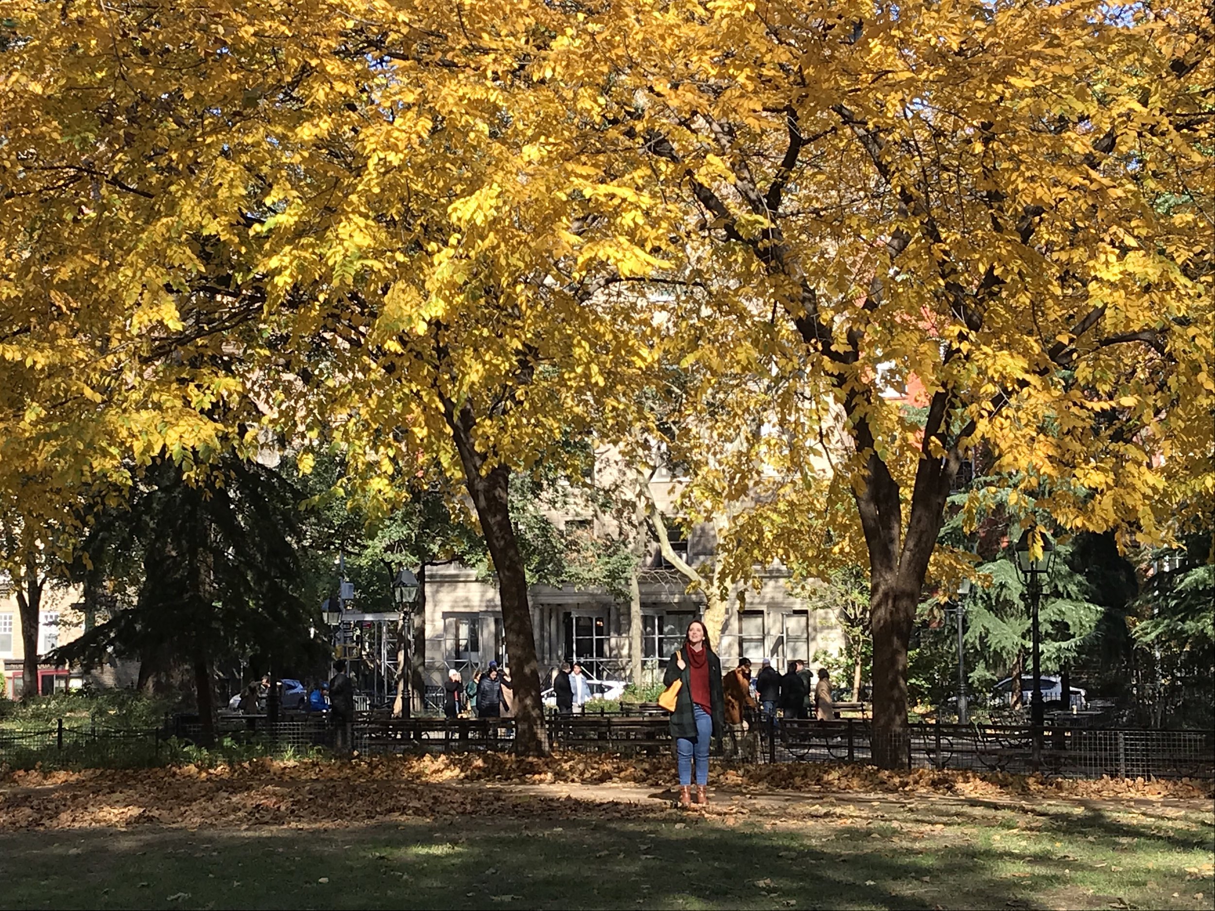 The Fellowship Of An Artist