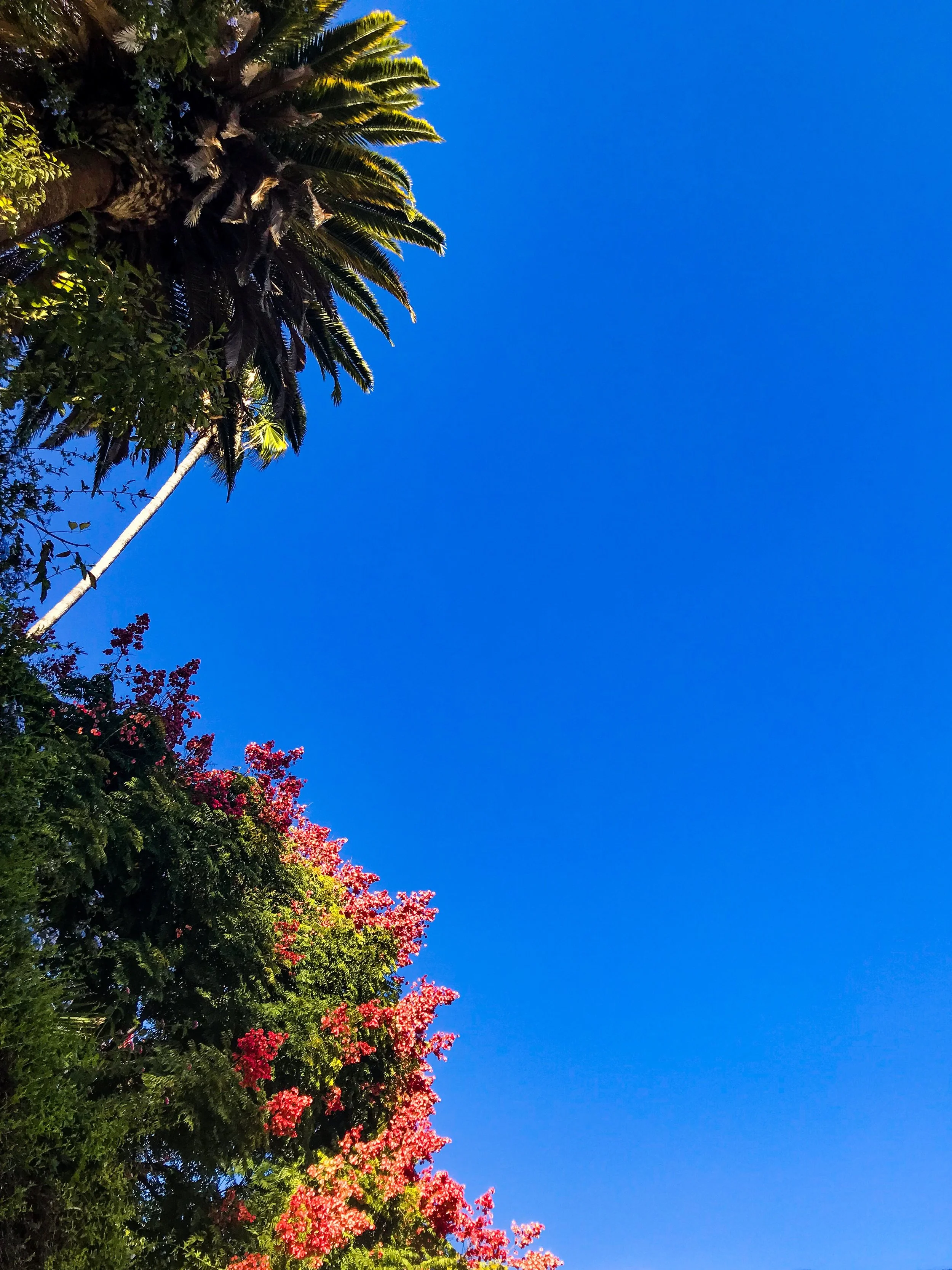 What I Learned About Self Care