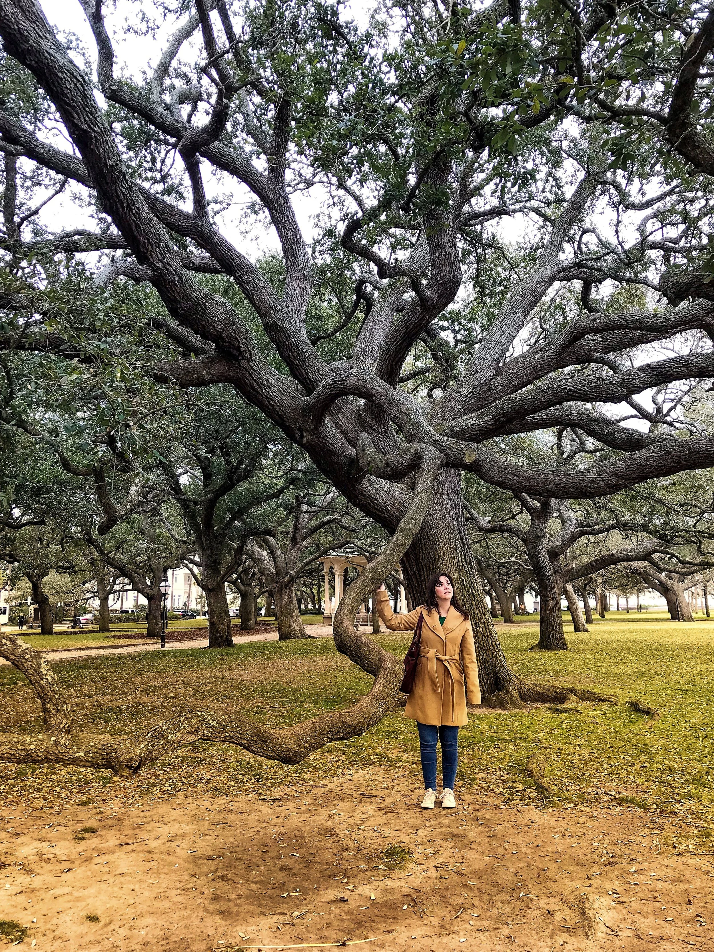My Depression Closet