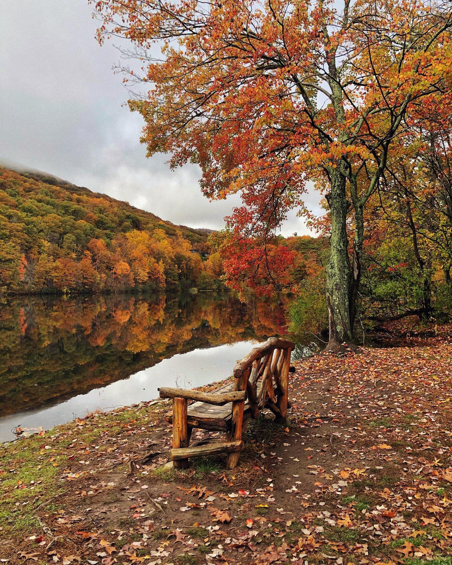 There is a place in the autumn wood where you can sit and hear the earth's breath. It is slow, quiet, and steady. The air smells of burnt orange and scarlet. It is the place you sit before you go. The place where the earth holds you in her embrace an