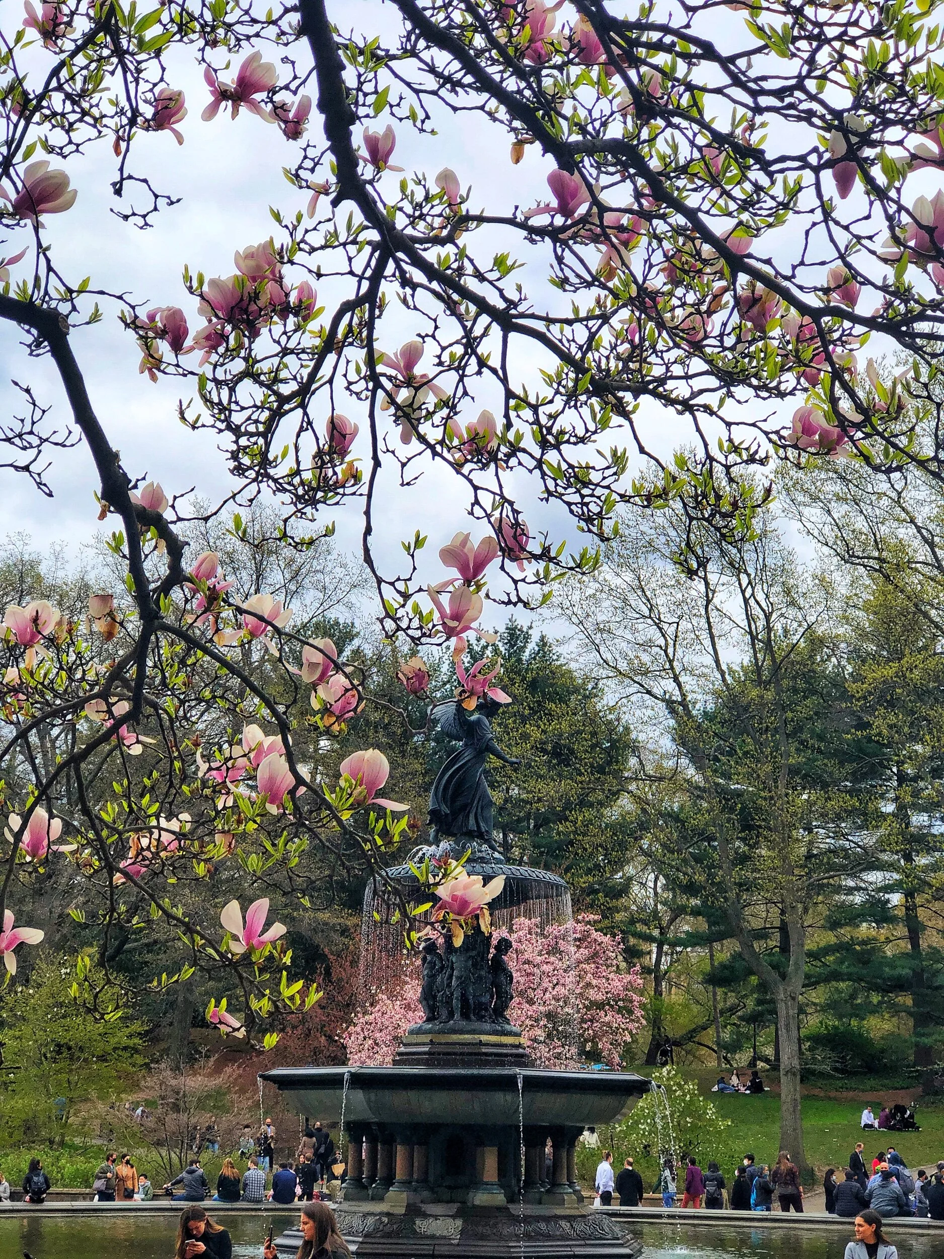 Return of the Little Things