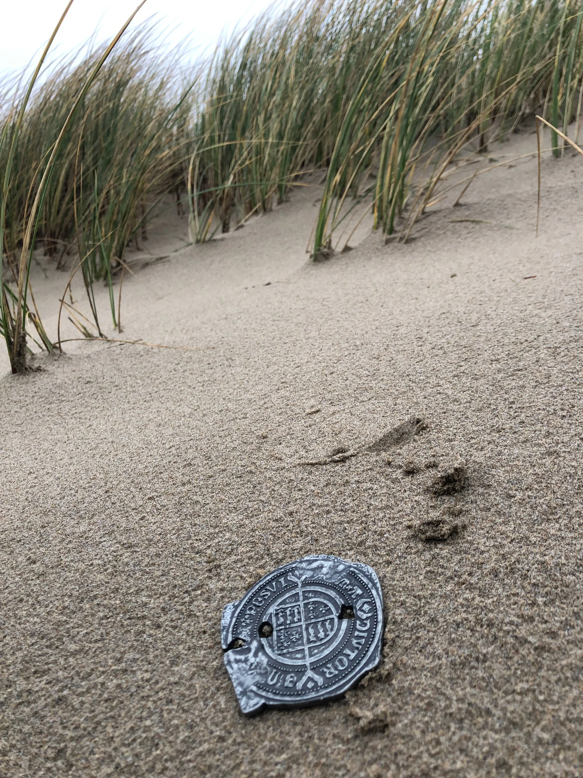 The Thing About Wishes