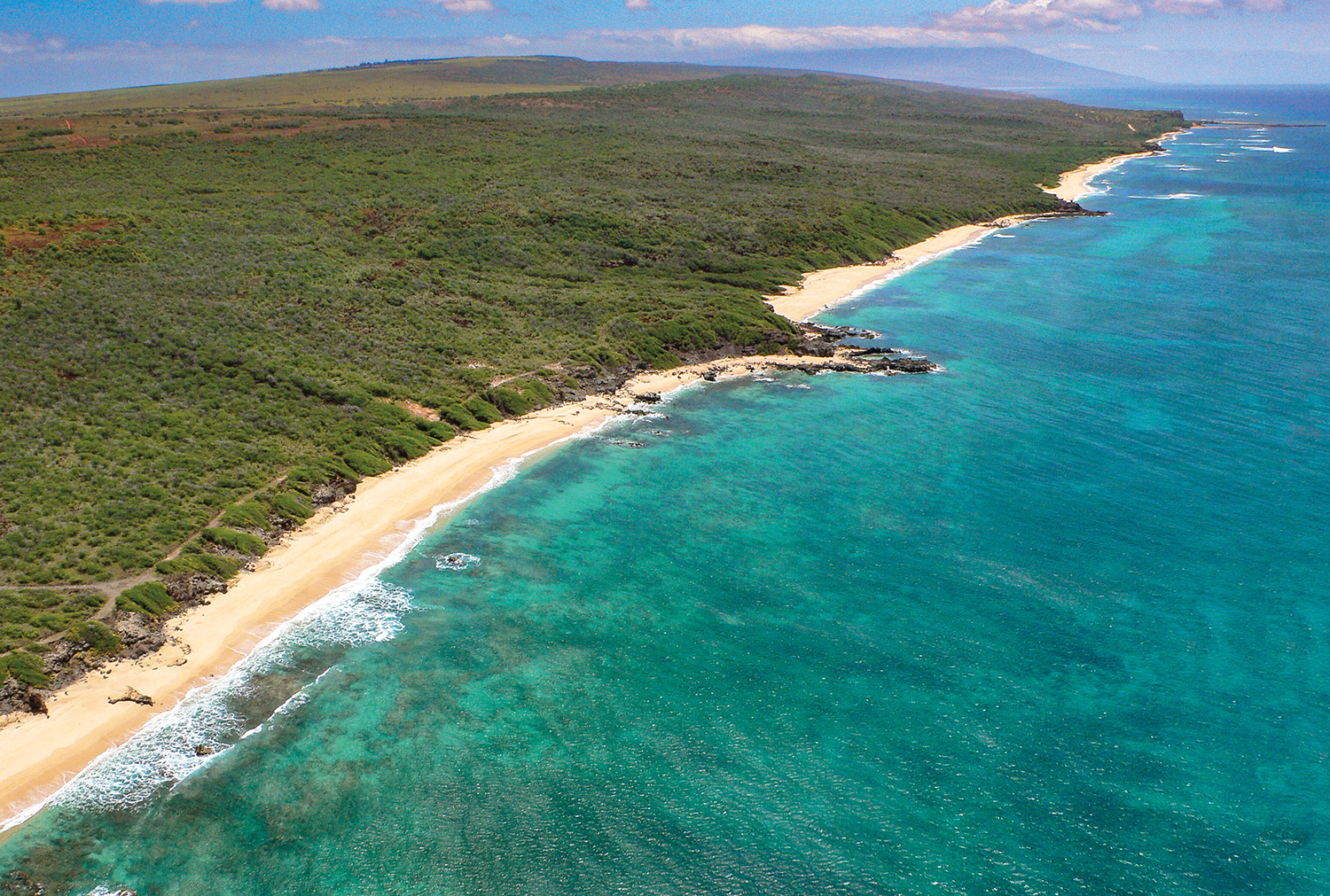 SOUTH SHORE BEACHES