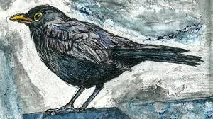 Blackbird Song