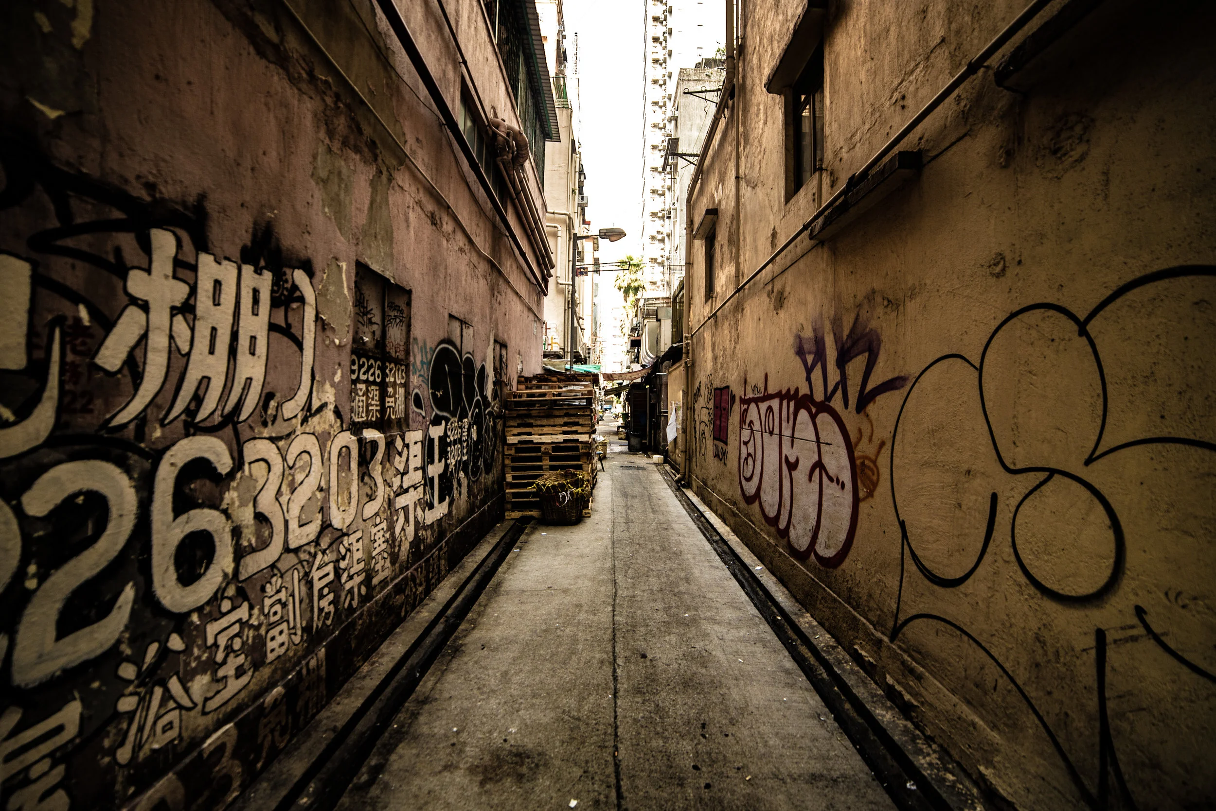 How the Democratic Nominee Can win in 2020: the politics of the metaphorical knife fight