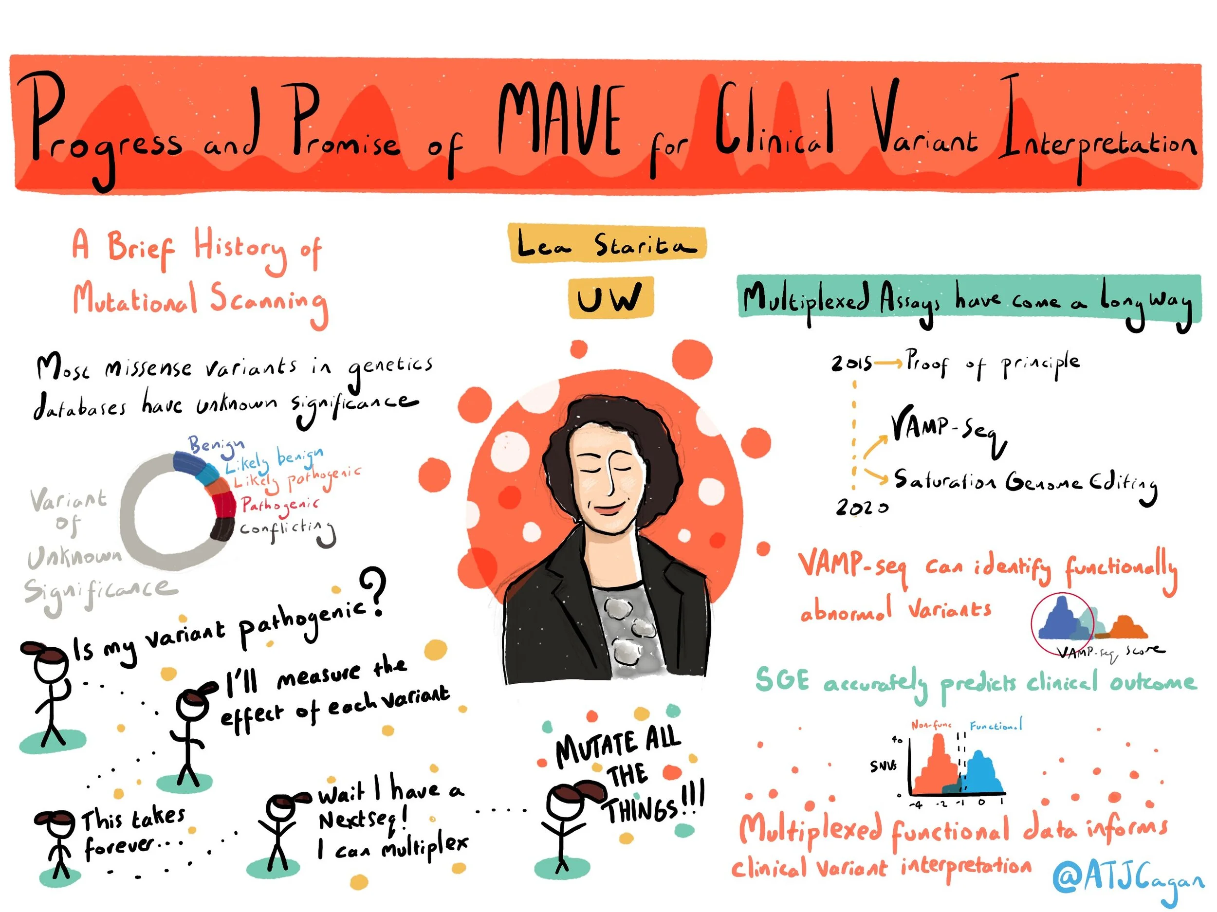 Mutliplexed functional data informs clinical variant interpretation