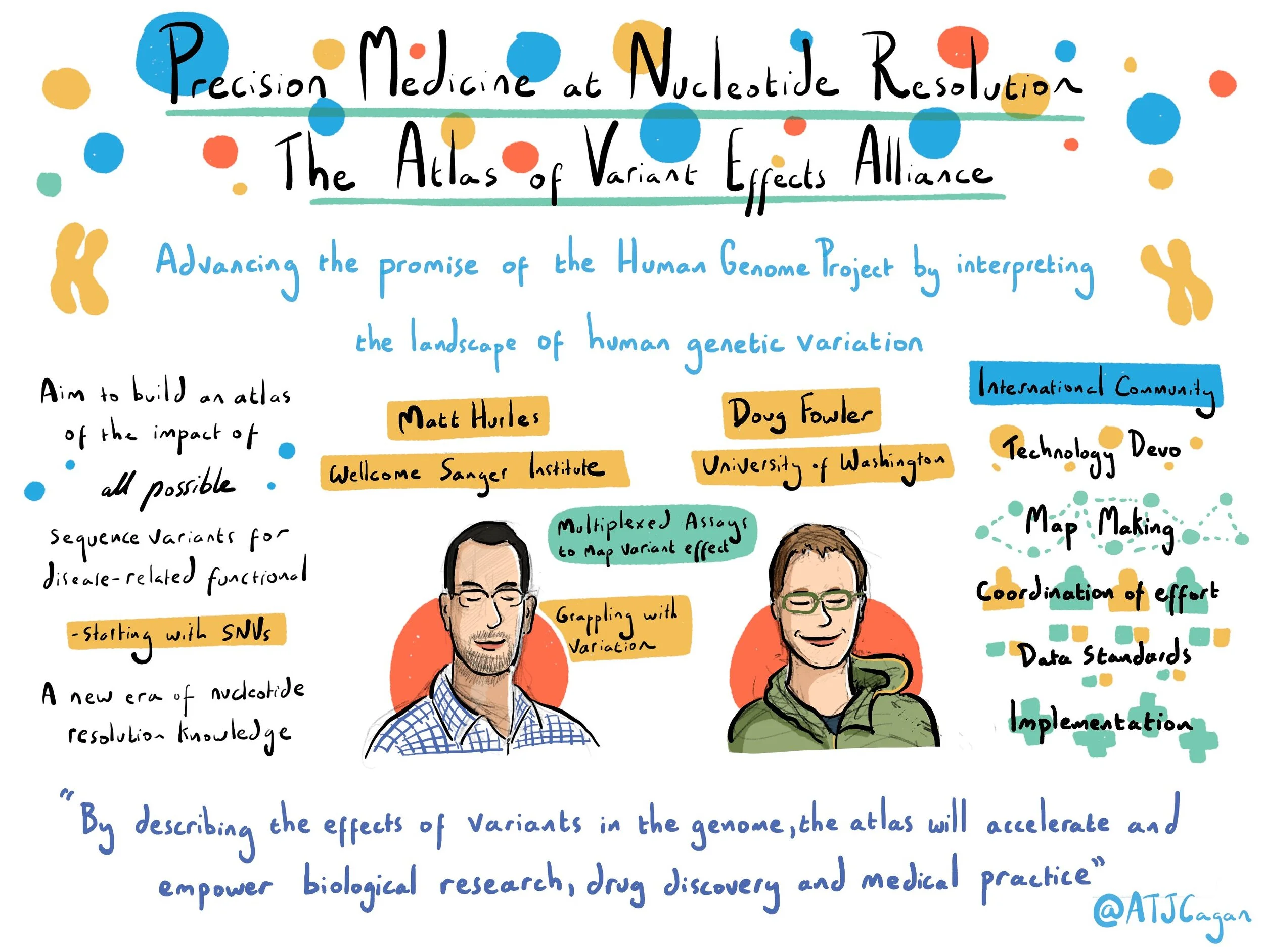 Atlas of Variant Effects Alliance