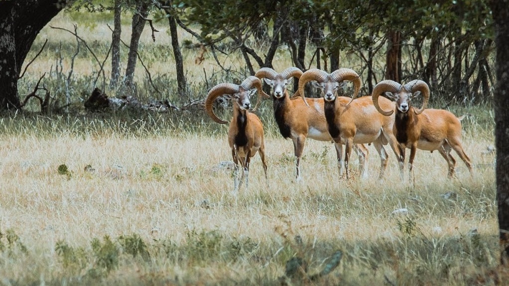 Leases of the week - 10.05.22