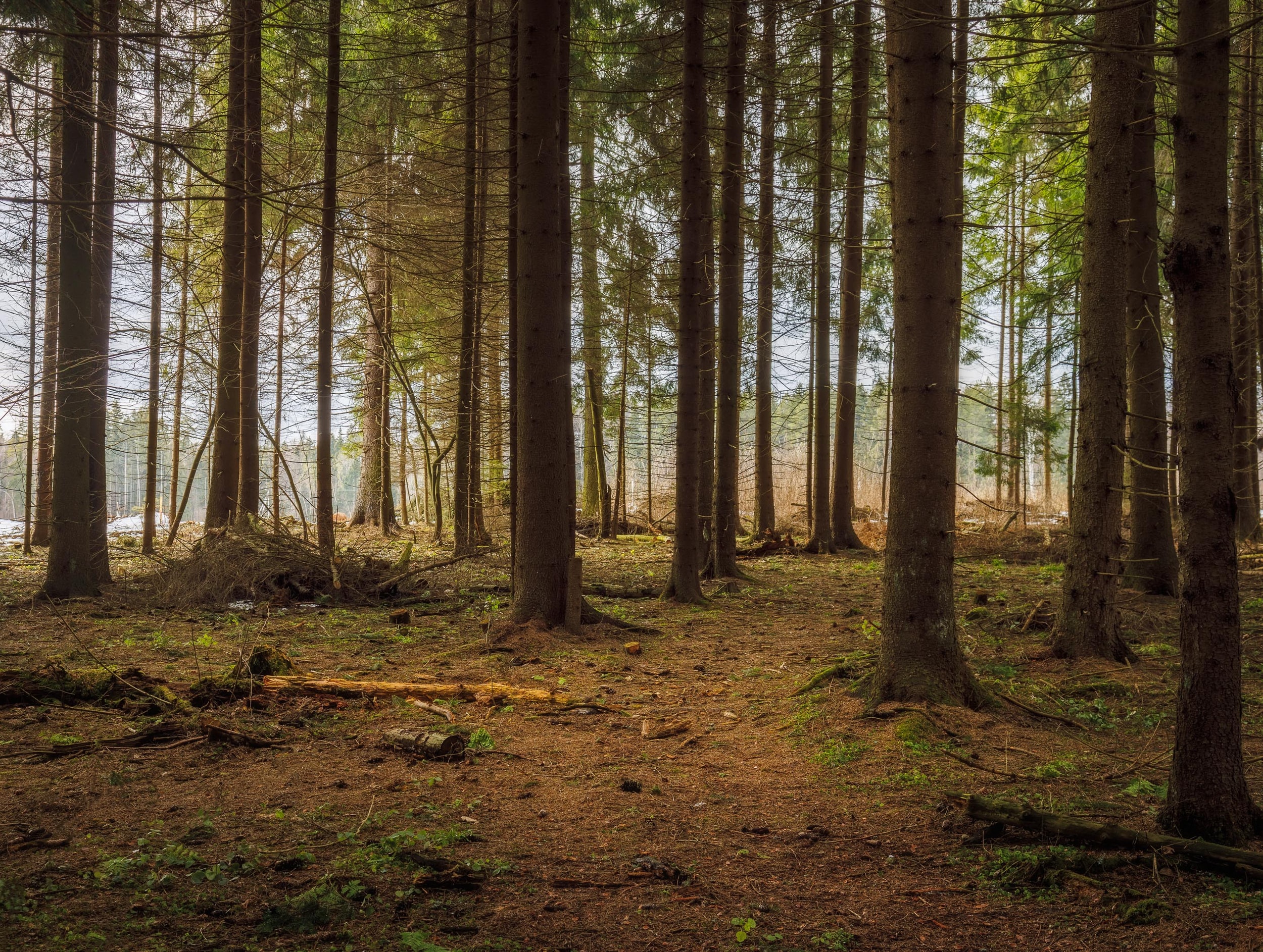 Leases of the week - 11.25.20 