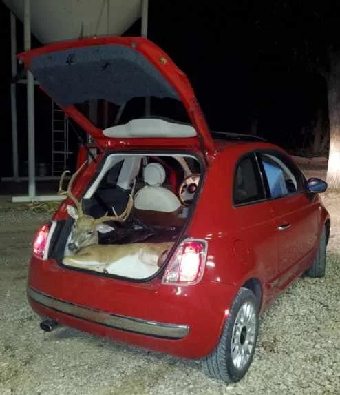 Guy Takes Wife's Car to The Deer Lease