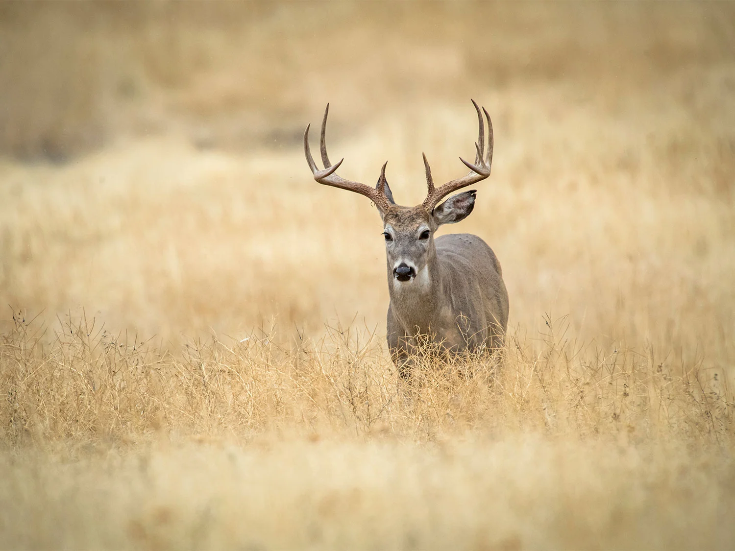 Leases of the week - 09.22.21