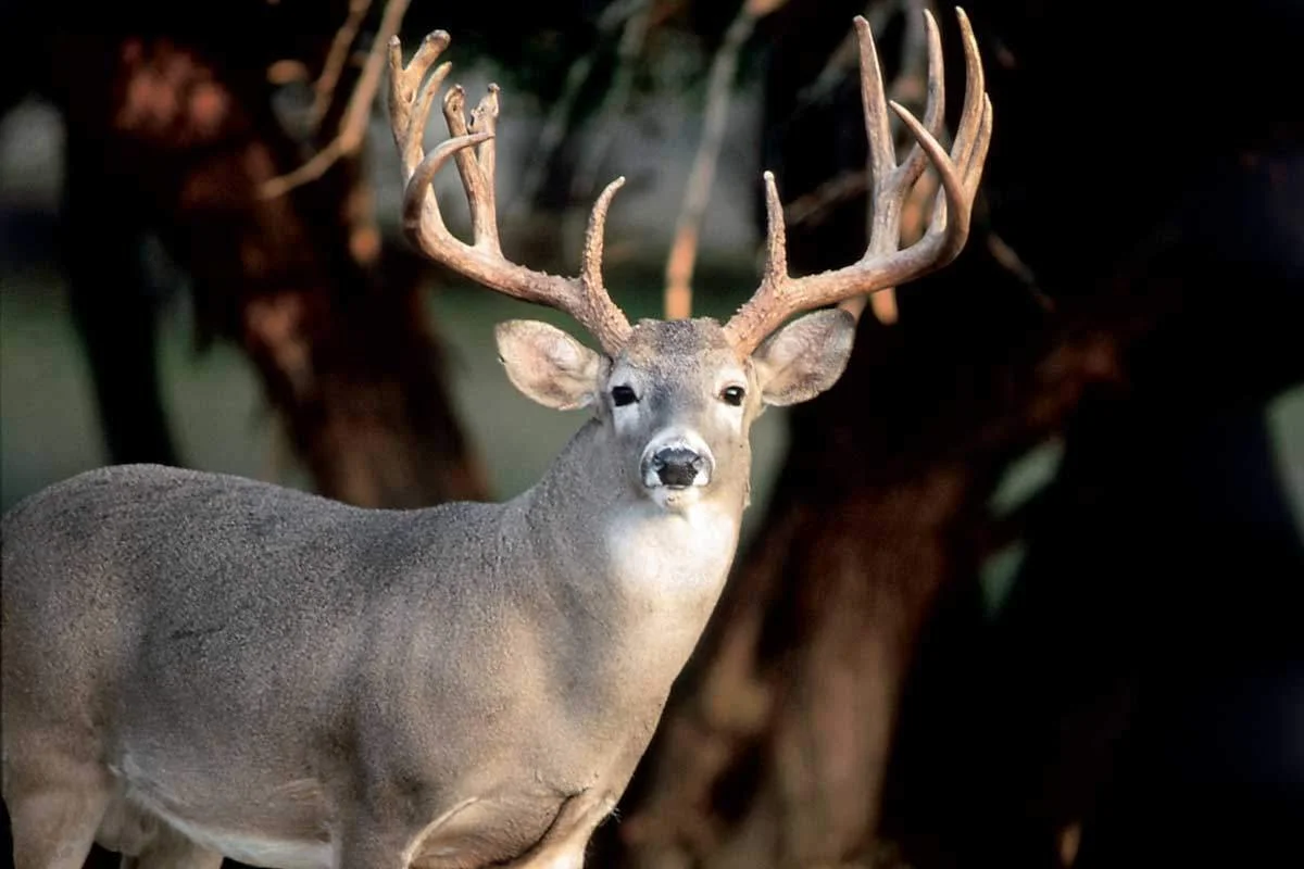 Leases of the week - 01.11.23