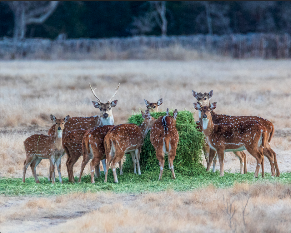 Leases of the week - 02.23.22