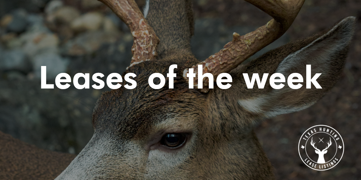 7,000 Acres, 4,500+ Acres &amp; Spring Turkey Hunts Now Open in Texas