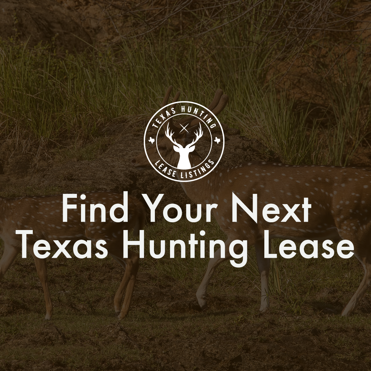 Leases of the week - 12.21.22