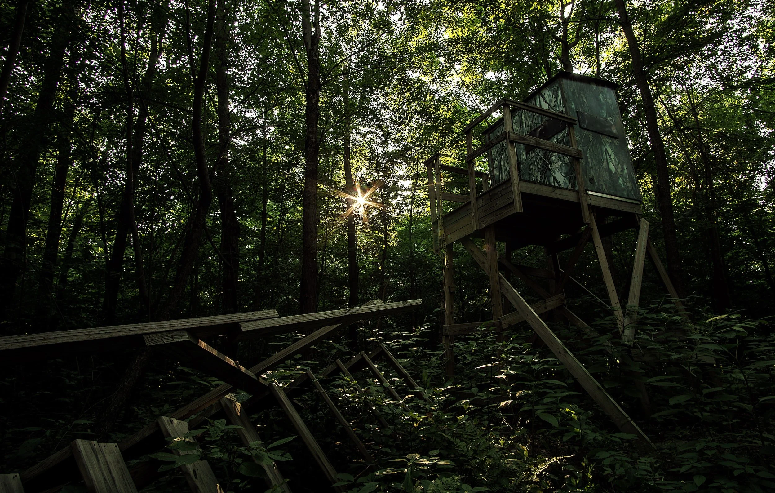 A Beginner’s Guide to Hunting in Texas