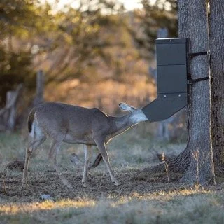 The Pros and Cons of Baiting Whitetail Deer