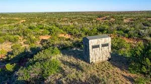 The Pros and Cons of Hunting Land Leasing in Texas