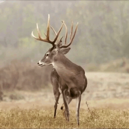 Leases of the week - 01.18.23