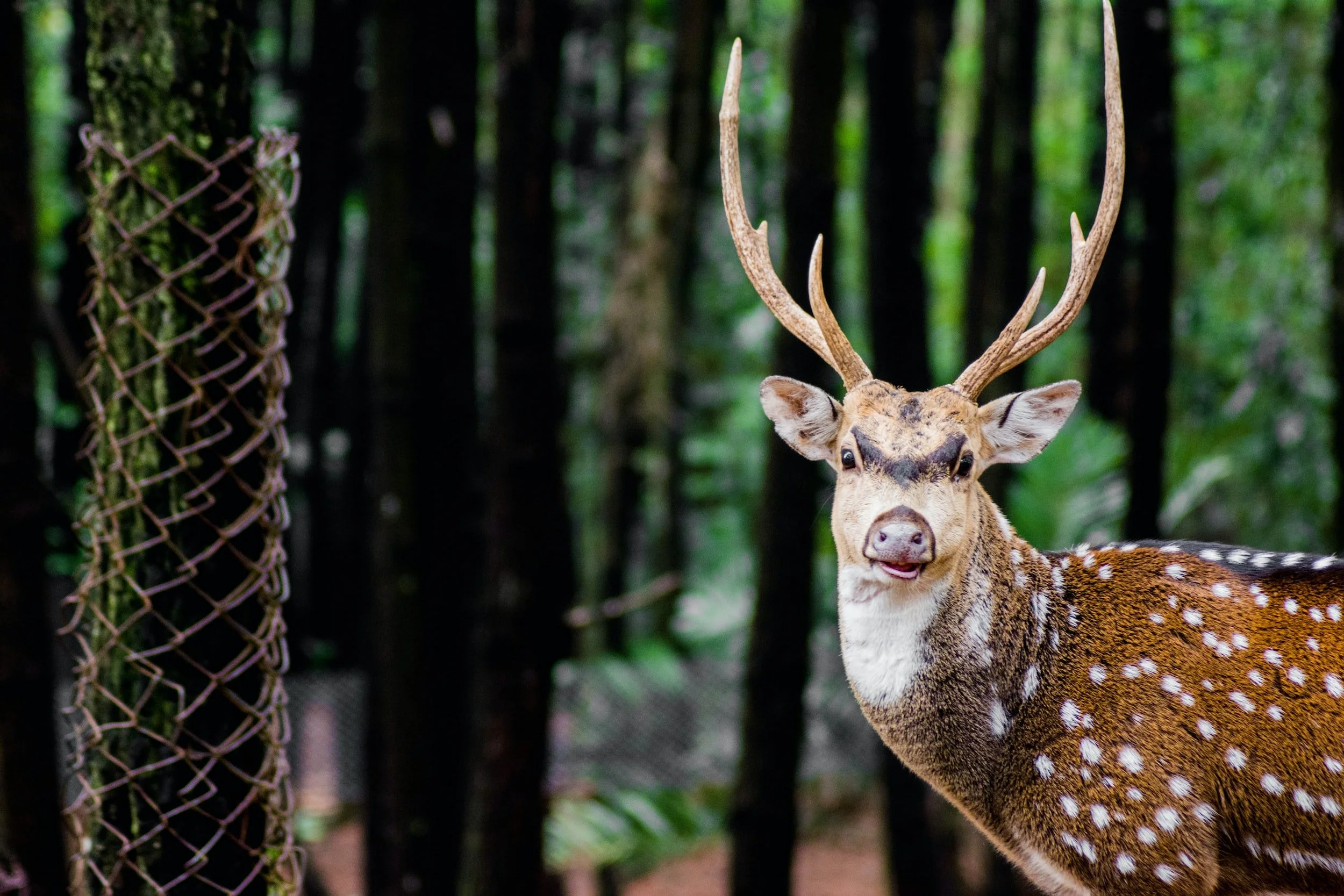 15 New Hunting Leases Added
