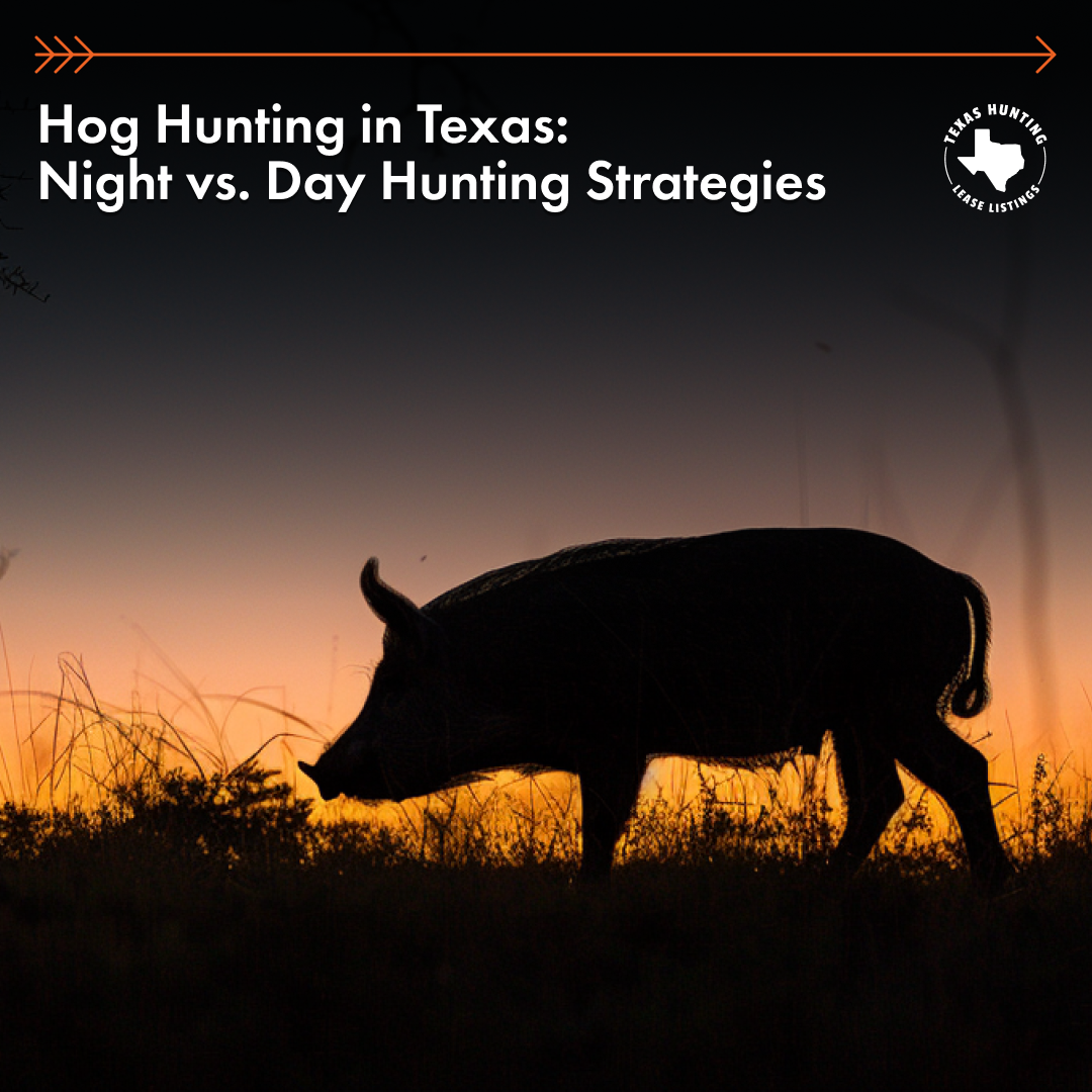Hog Hunting in Texas: Night vs. Day Hunting Strategies