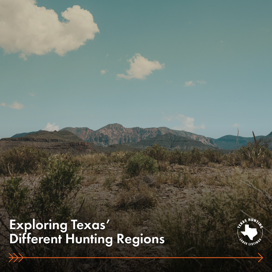 Exploring Texas’ Different Hunting Regions