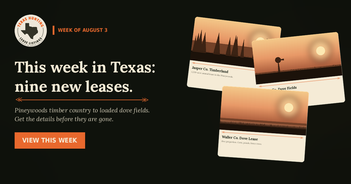 Nine New Texas Hunting Leases Just Hit the List — East Texas Timber Country and Two Dove Leases Built for September