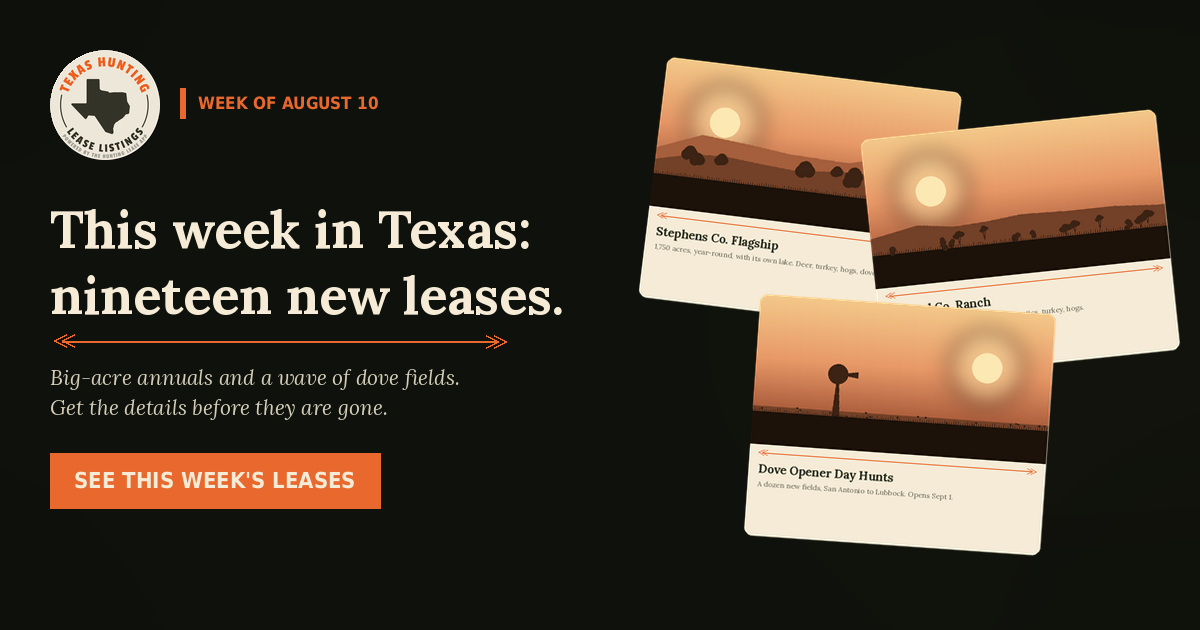 Nineteen New Texas Leases Just Hit the List — Big-Acre Annuals and a Wall of Dove Fields