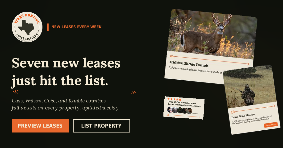 Seven New Texas Leases This Week: Pineywoods Timber, Dove Country, and a West Texas Lake Lease