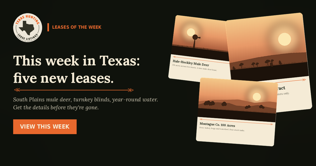 Five New Texas Leases This Week: South Plains Mule Deer, a Turnkey Childress Setup, and North Texas Whitetail