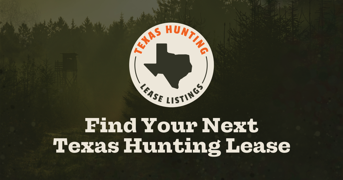 Leases of the week - 11.30.22 