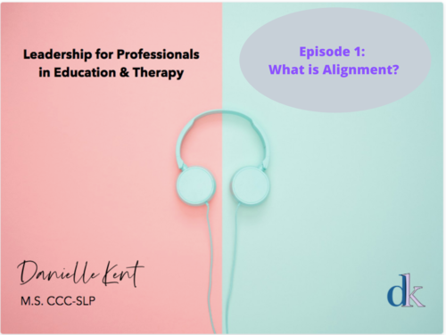 Episode 1: What is Alignment?