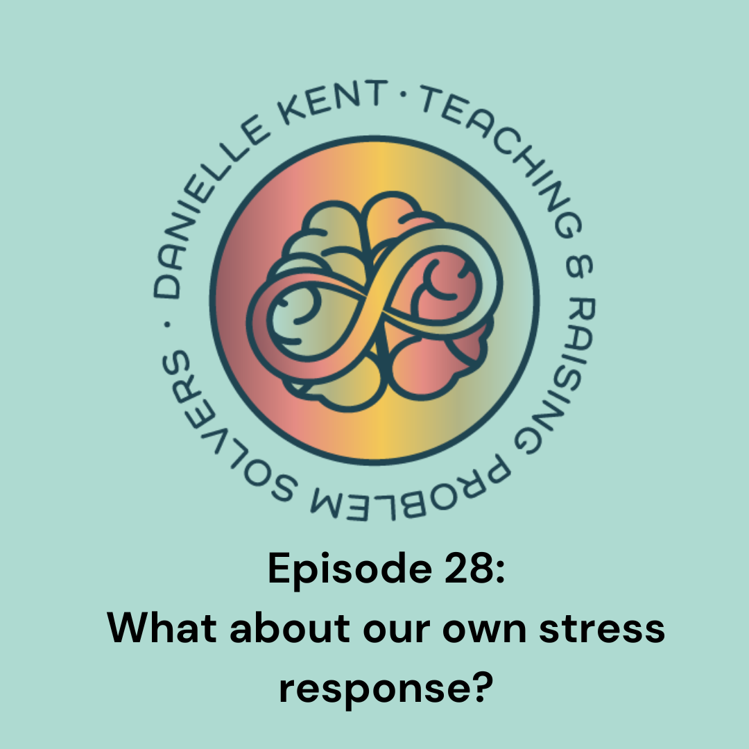 Episode 28: What about our own stress response?