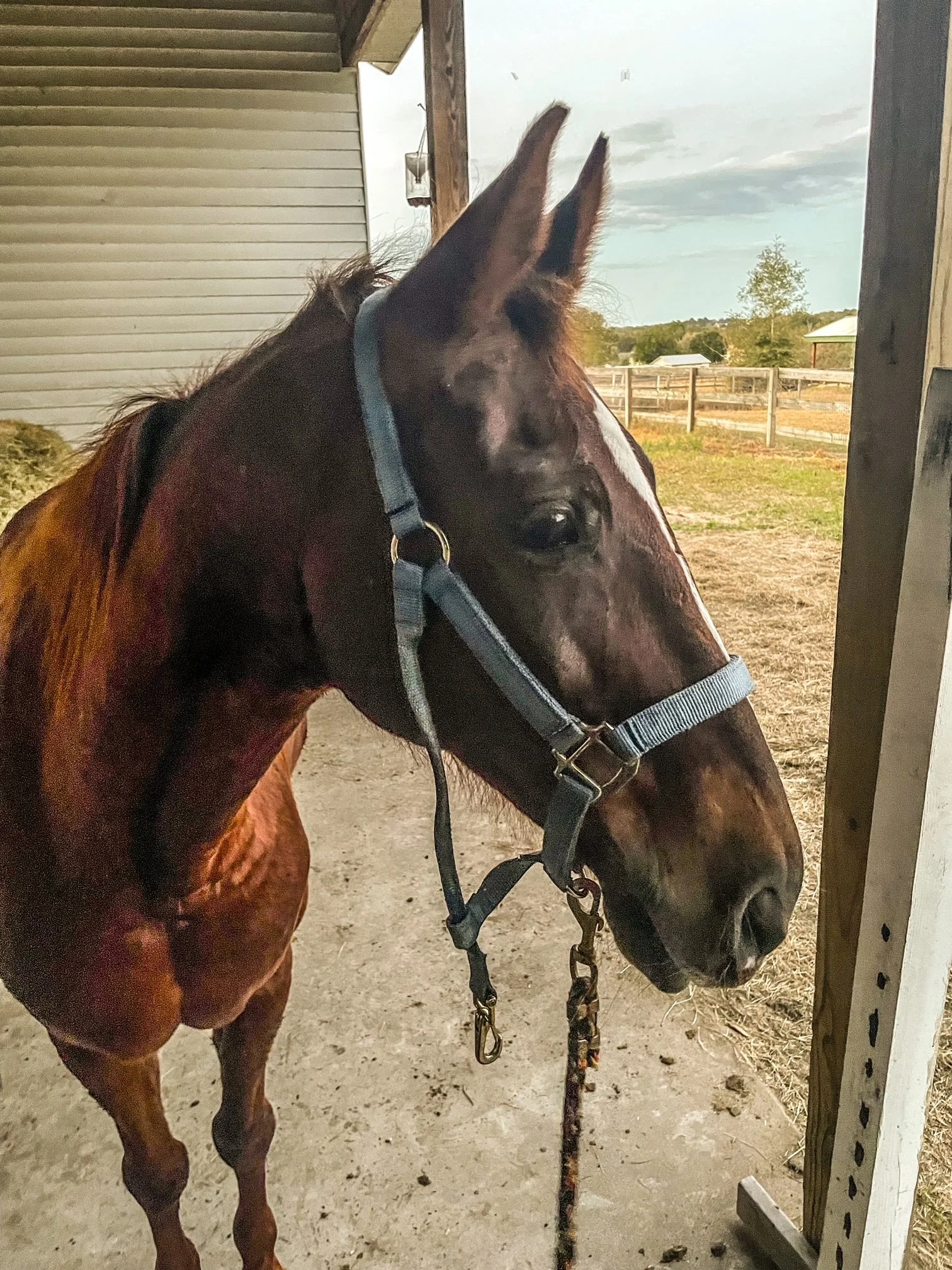 The Power of A Whisper