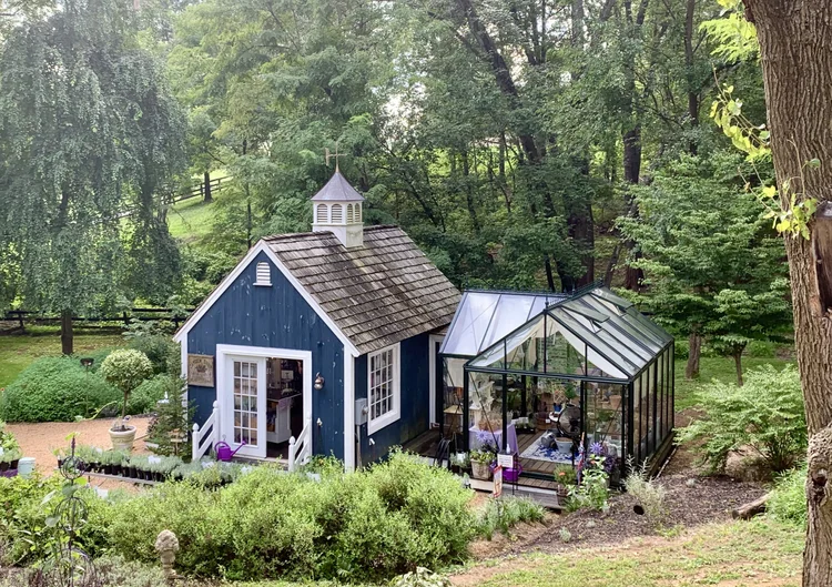 Yoga and Charcuterie at Blooming Hill Lavender Farm