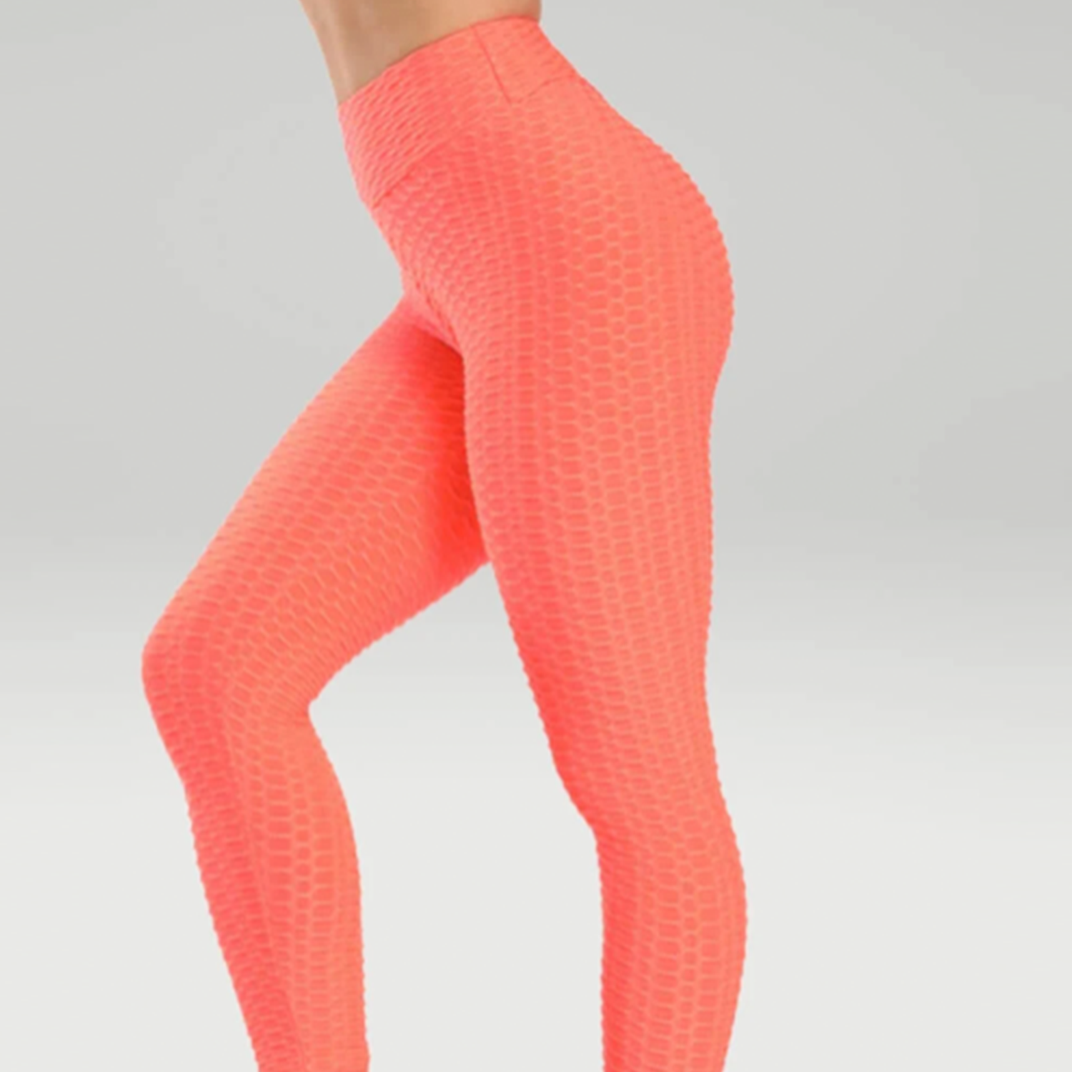 CORAL.png