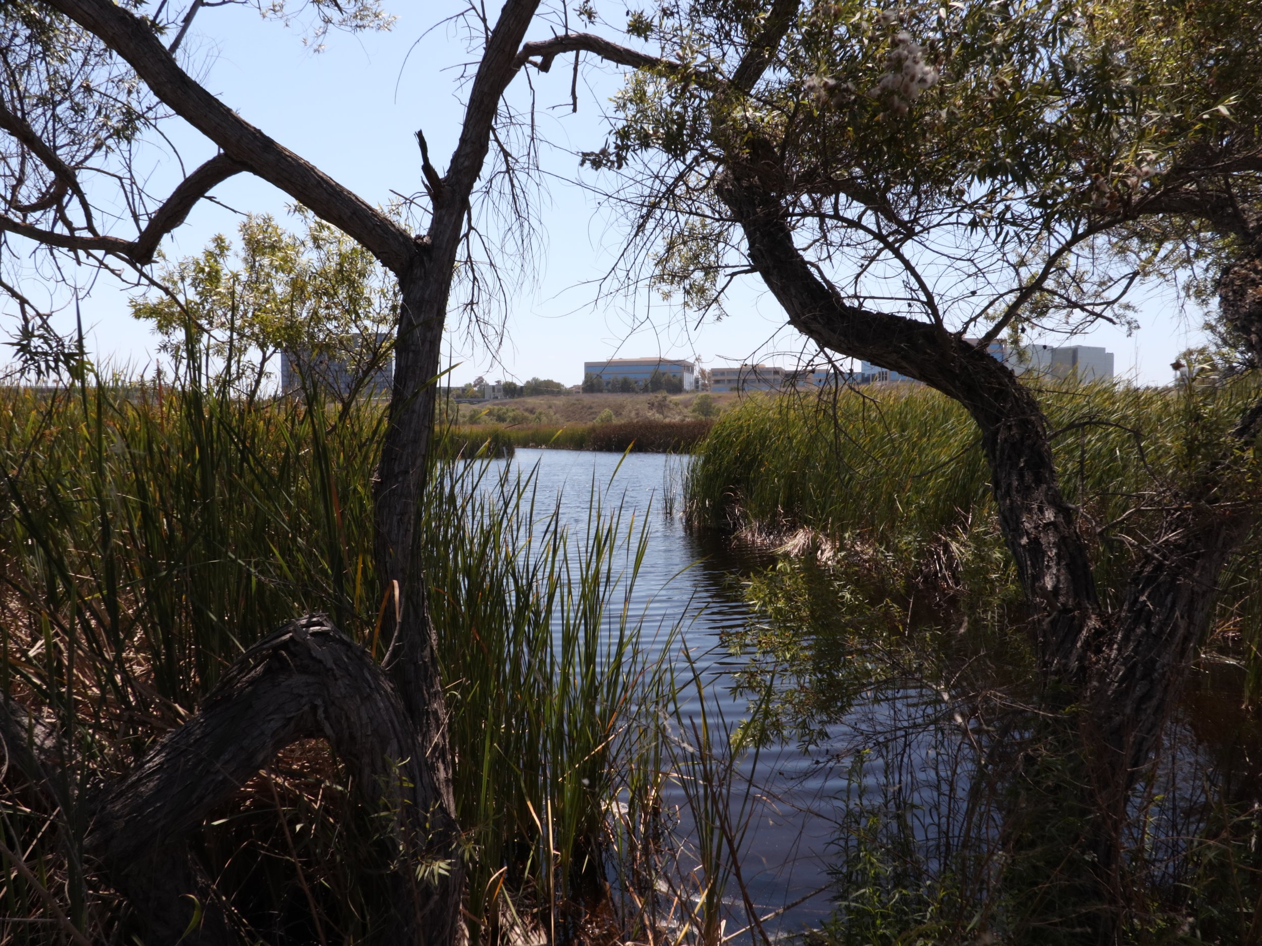 San Joaquin Marsh Archive