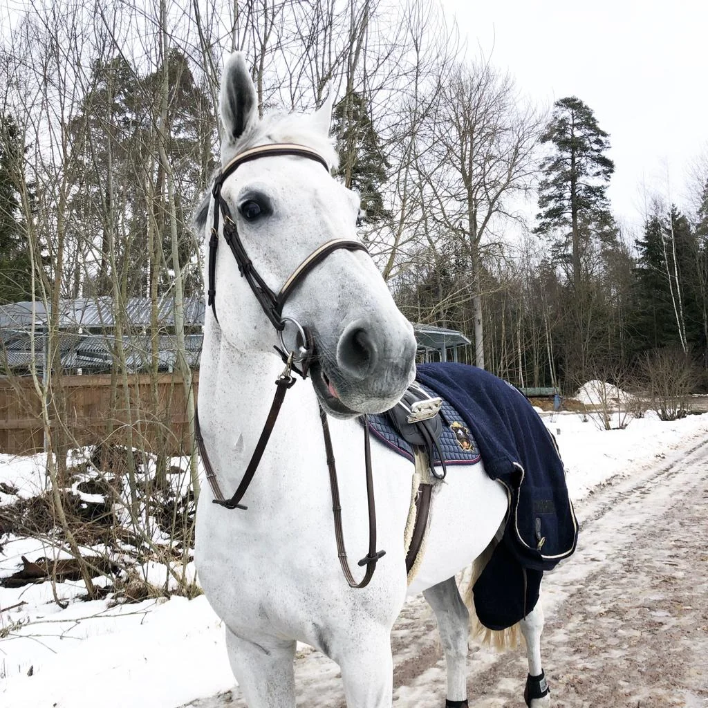 WhatsApp Image 2019-05-10 at 23.04.40.jpeg